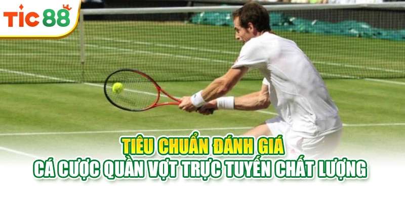 Tiêu chuẩn đánh giá cá cược quần vợt trực tuyến chất lượng 